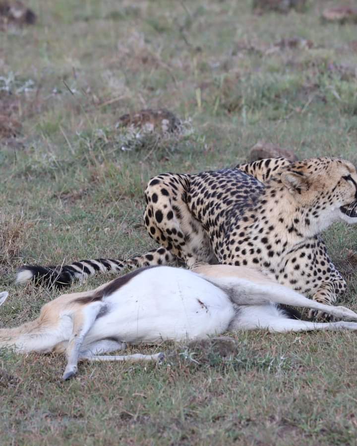 FB_IMG_1697556478799