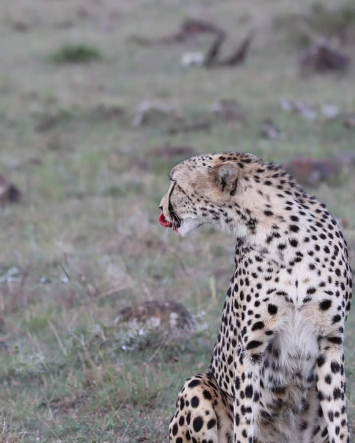 FB_IMG_1697556498142