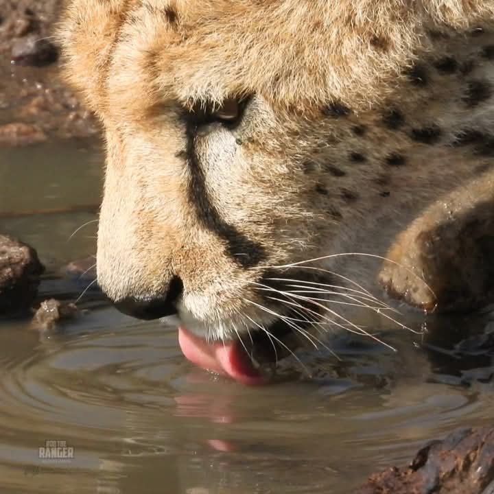 FB_IMG_1741287456506