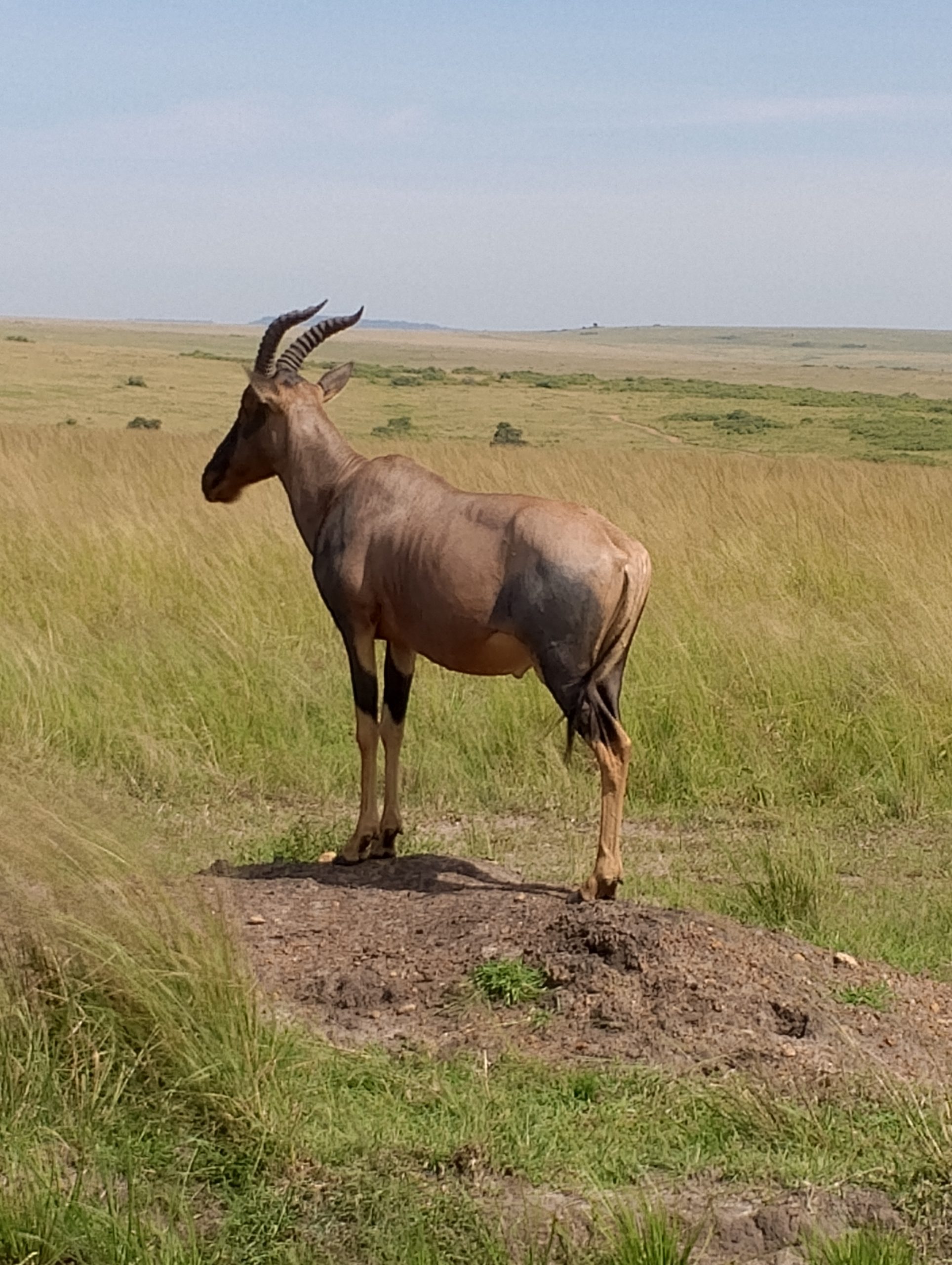 IMG_20250212_102847_942