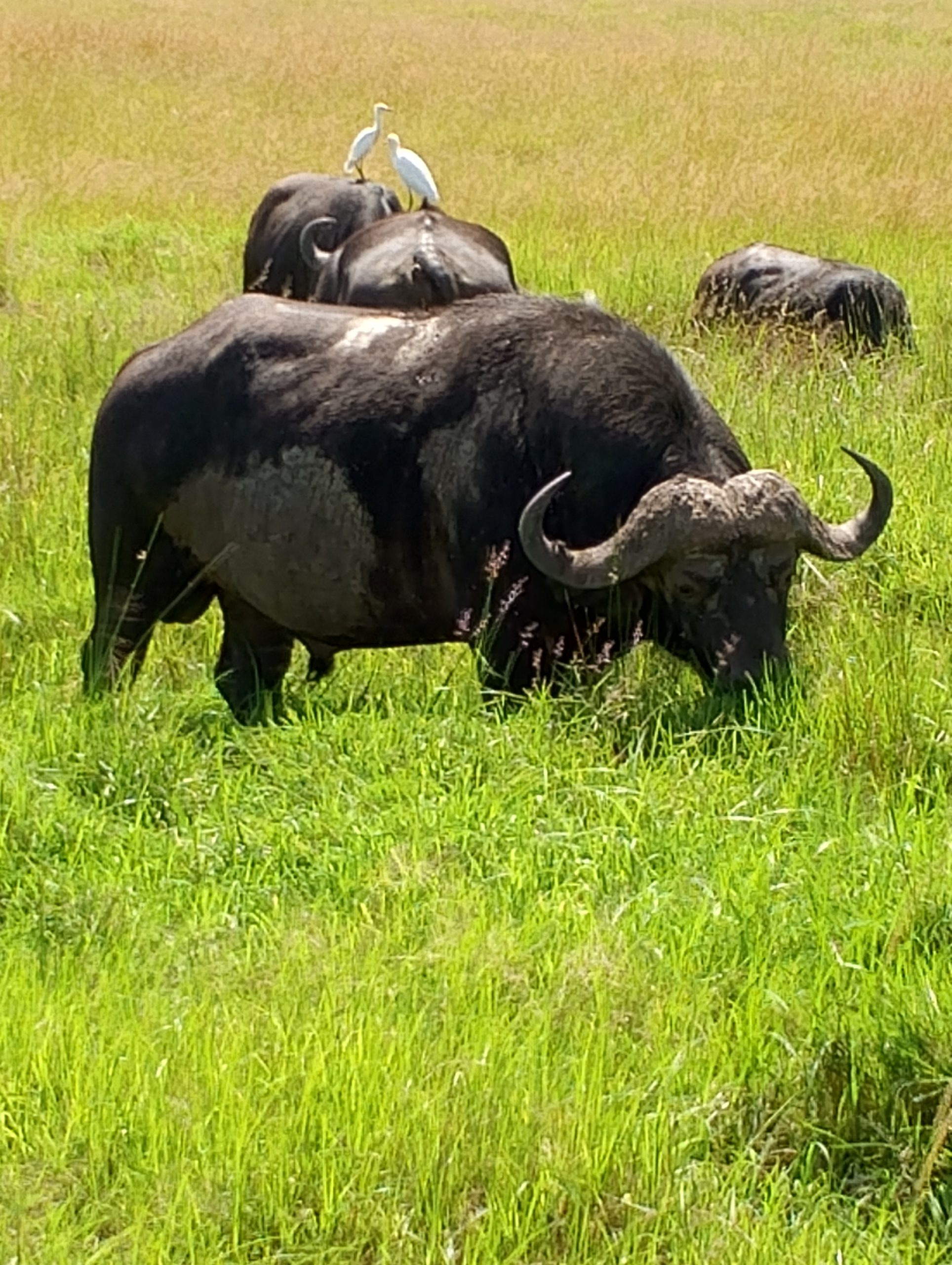 IMG_20250212_104907_460