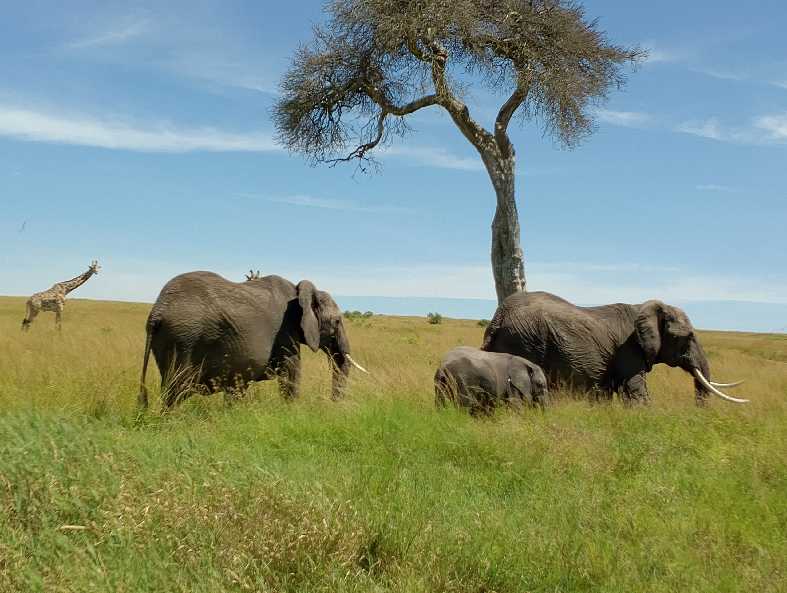 IMG_20250212_111727_870