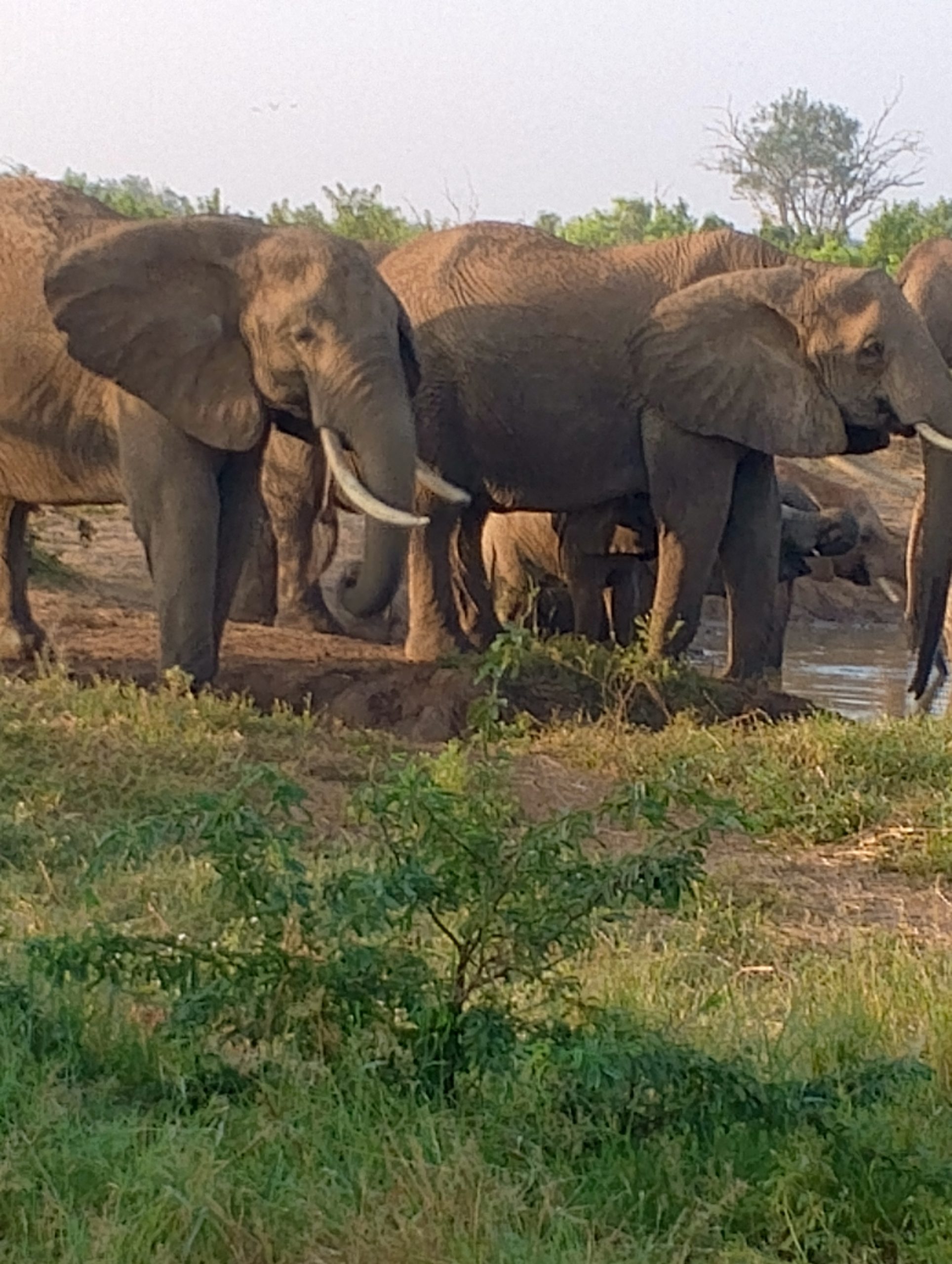 IMG_20250228_070851_829