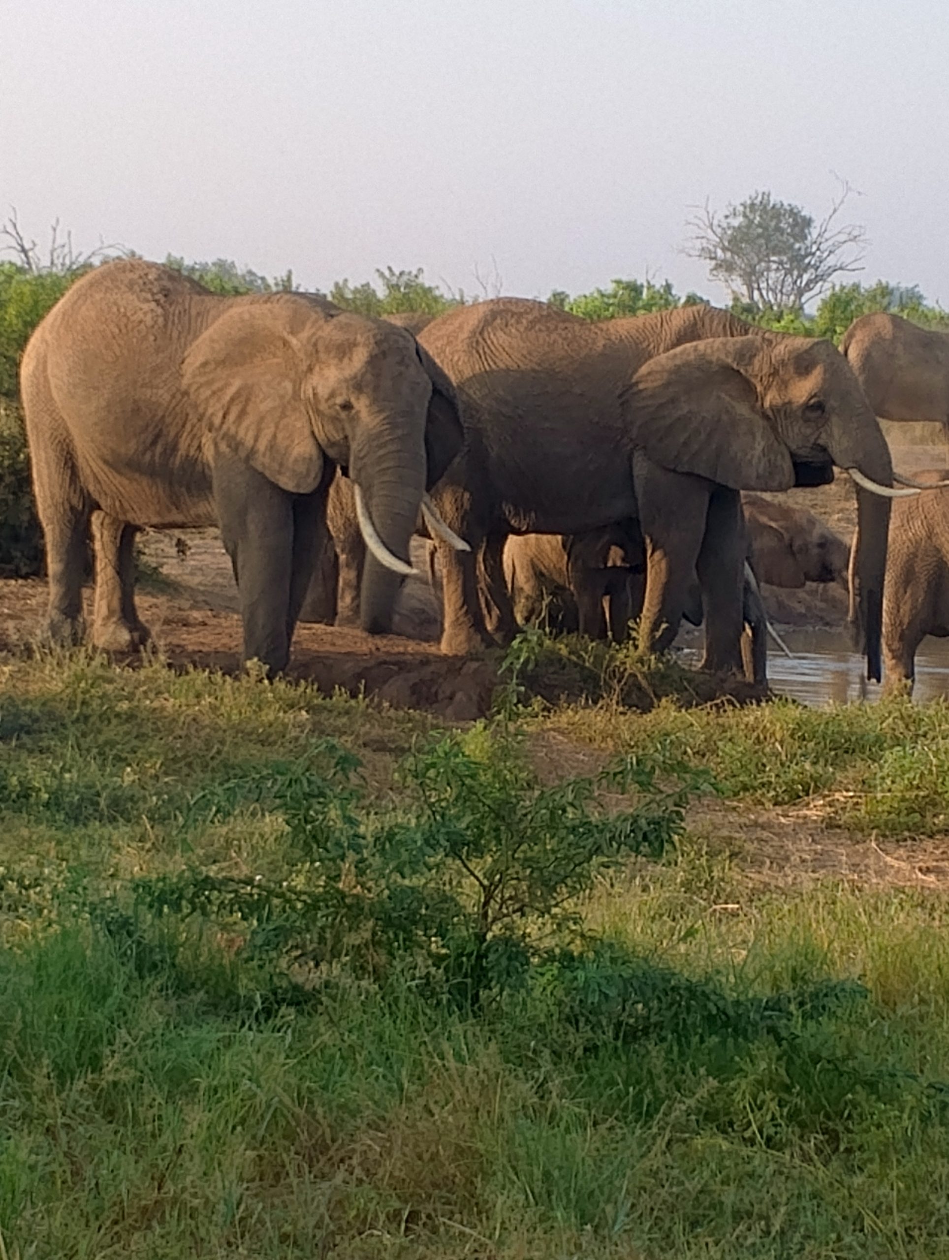 IMG_20250228_070857_396