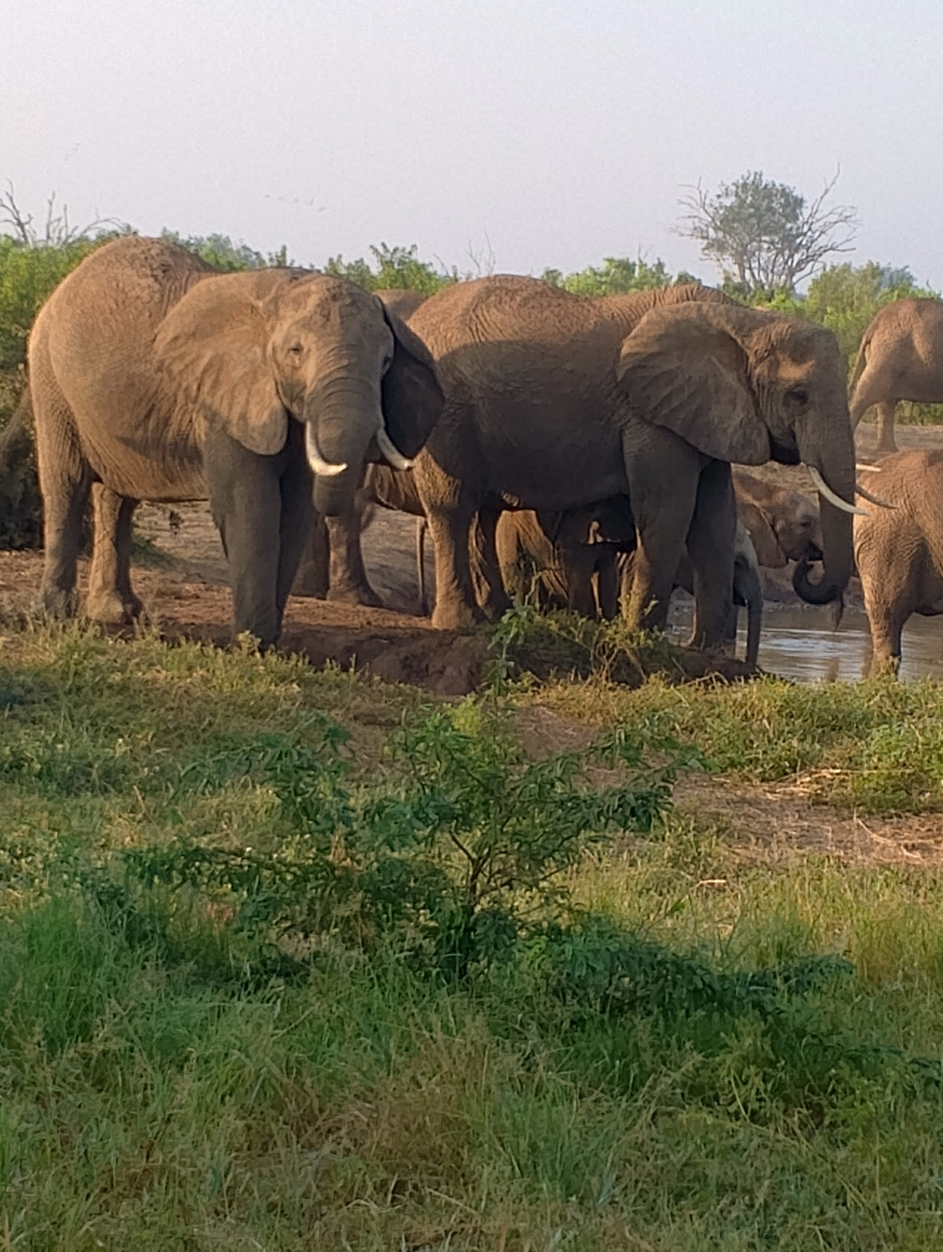 IMG_20250228_070906_856