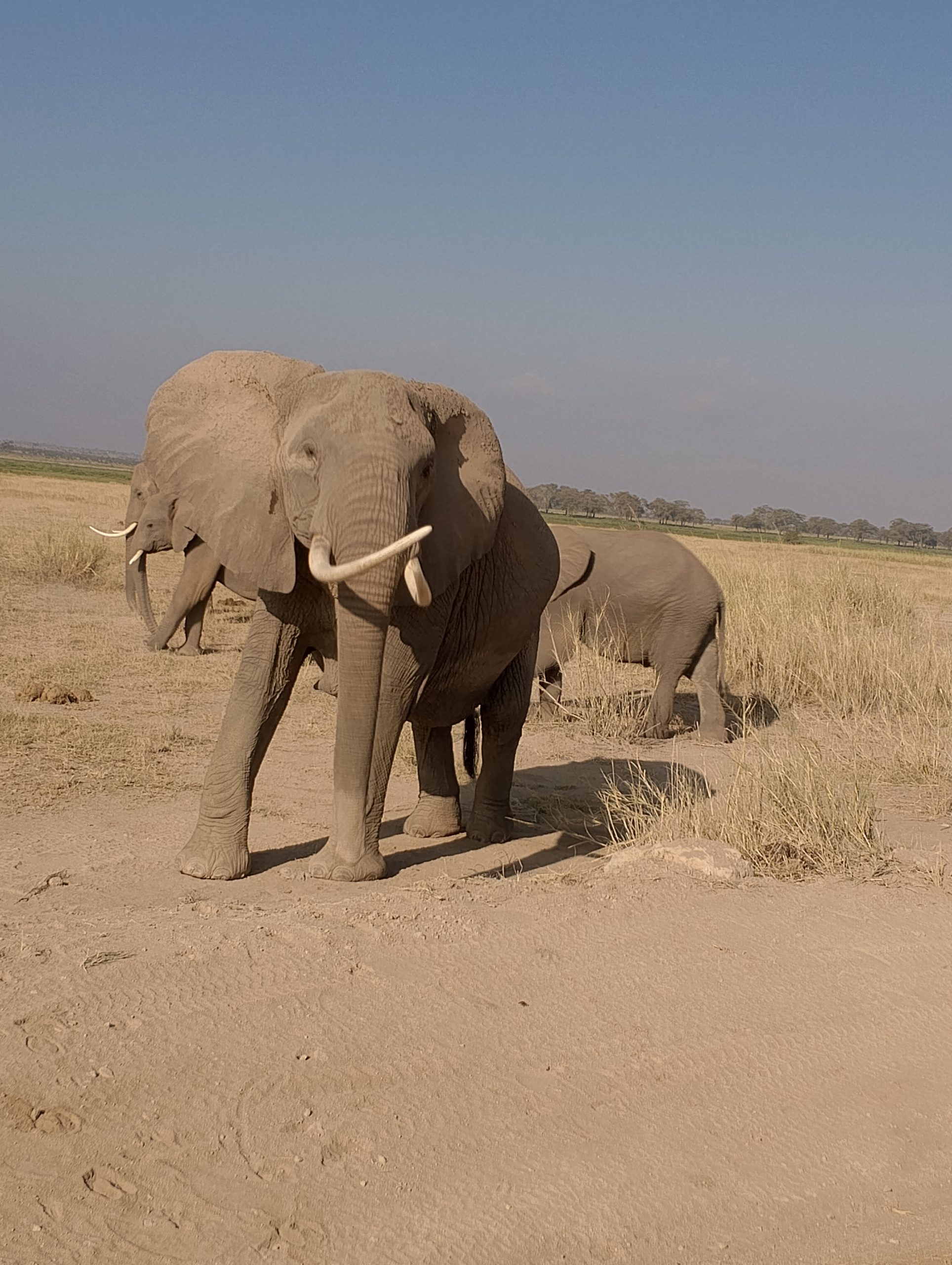 IMG_20250305_081910_169